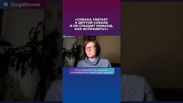 Собака убегает к другим собакам и не слышит команды, что делать? Отвечает кинолог Татьяна Шаманова смотреть онлайн
