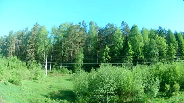 Вид из окна поезда - Природа Ярославской области (Шестихино-Волга, Некоузский р-н.) часть1