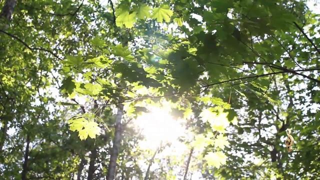 Свято имя Твоё! ( песни под гитару ) смотреть онлайн