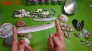 Ракушки - поиск и использование...Часть 1