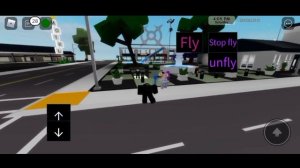 Brookhaven Headless Flying Arceus X Script Pastebin 2022 (Roblox)