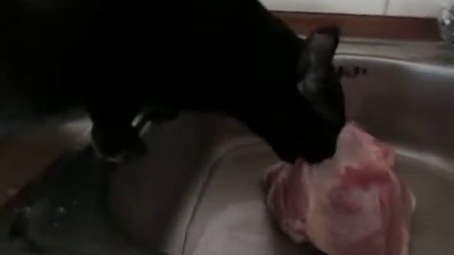 соня. неужели это всё моё! смотреть онлайн