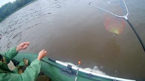 Ловля леща на яйца, кольцо.