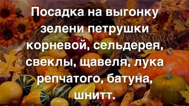 Подробный Лунный посевной календарь садоводов и огородников на ноябрь 2021 г