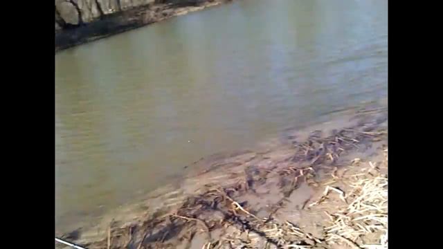 №45 Я на рыбалку-В Астрахань!(Часть1) смотреть онлайн