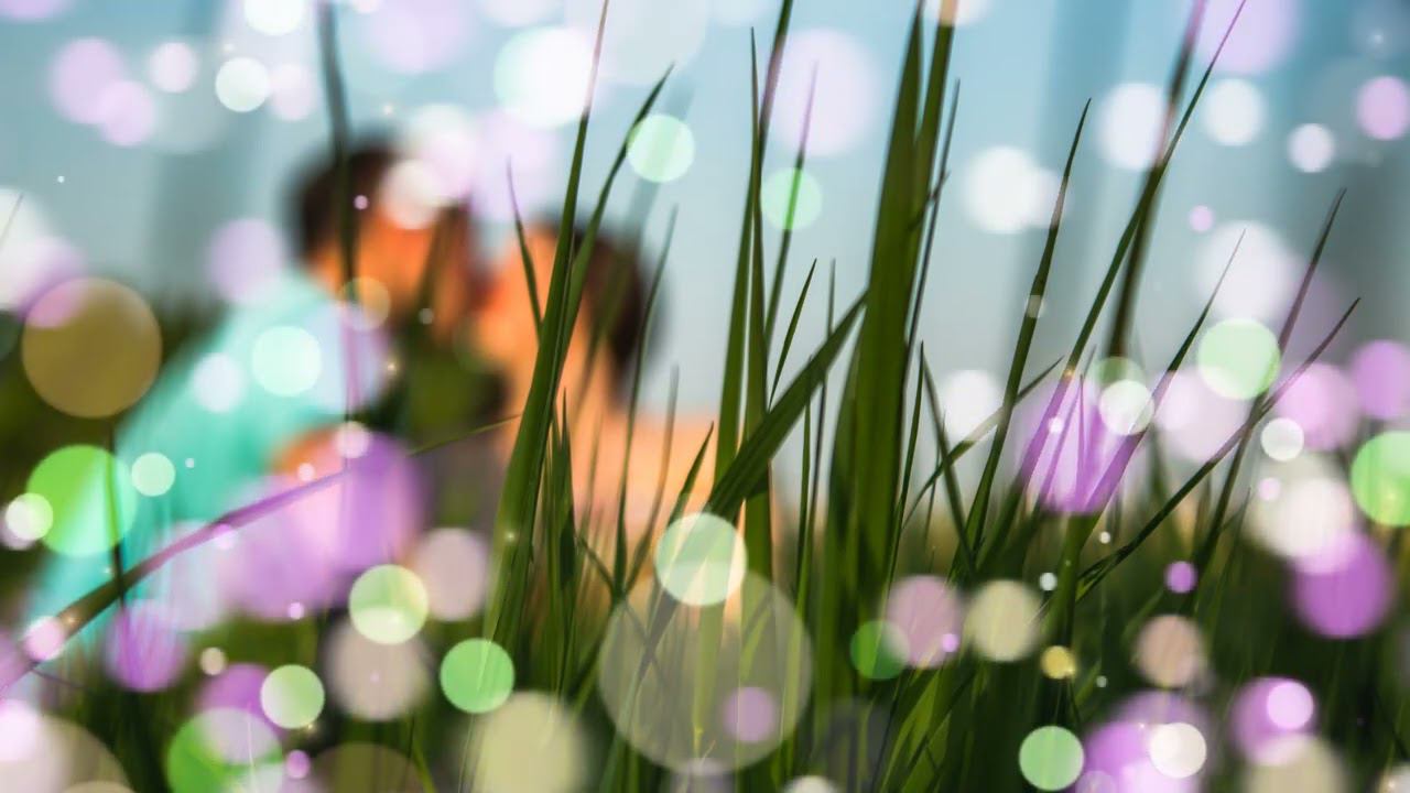 Ах, эти ночи!!!Татьяна Козловская!!!Светлана Ромашина!!!Василий Гарбузов!!! смотреть онлайн