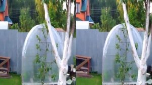 Видео в формате 3d для просмотра в 3d очках (анаглиф, активные Samsung, пассивные LG).