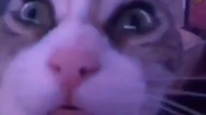 МУДЖА КИНА - САМАЯ ХУДШАЯ СОПЕРНИЦА!??критика/разбор персонажа {Yandere Simulator}