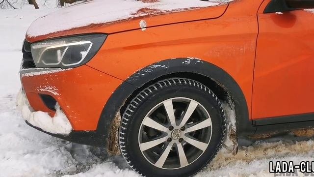 Опилки, песок или наполнитель для туалета - что вытащит?!