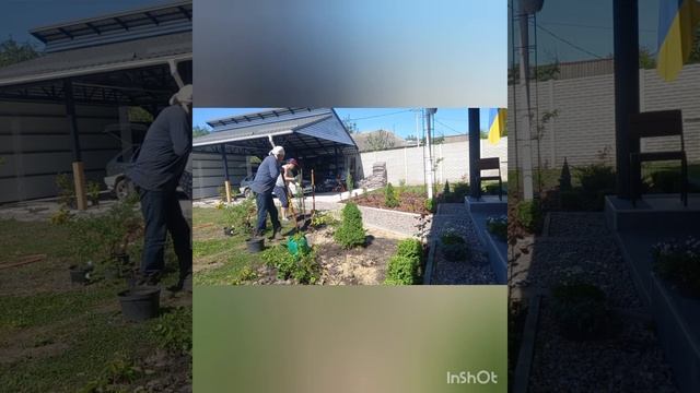 Озеленення ділянки. Будівництво  рокарію.Частина 2.#ландшафтныйдизайн #tagetes