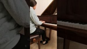 Шопен. Этюд №14 Op 25 фа - минор