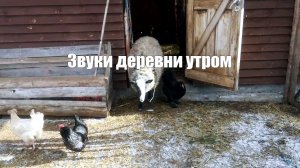 Деревня слушать
