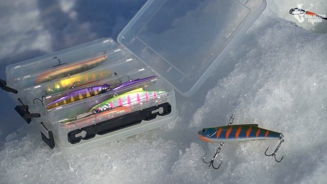 Бегаем за ОГРОМНОЙ КУЧЕЙ РЫБЫ. Зимняя рыбалка на судака с вибами смотреть онлайн