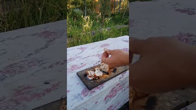 Вкусняшка из курицы #дача #мангал #курицагриль #курица #коптильня