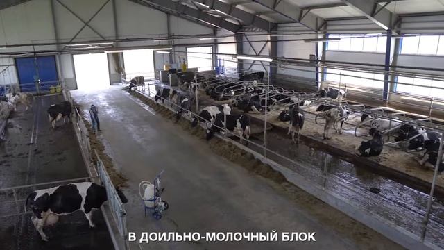 Балтымский АгроКомплекс