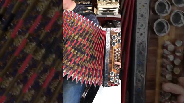 Zupan Alpina IV D Slovenian Accordion