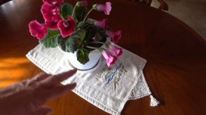 ГЛОКСИНИЯ. Уход в домашних условиях.