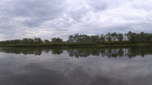 Ловля плотвы на перловку. Рыбалка выходного дня 24 мая на Оке. Опять с ведром...