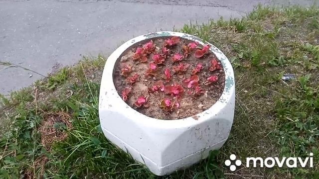 По какой причине прокуратура города Красногорска не проверяет деятельность администрации города ?