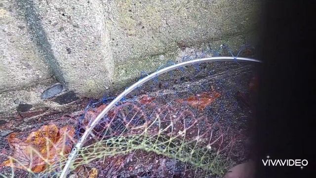 Ловля леща на пенопласт. Выбор точки заброса, особенности оснастки. смотреть онлайн