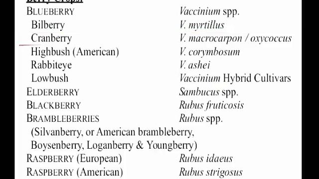 Scientific names of Pome,Stone,Vine fruits ,Citrus ,Nuts ,Berries & Deciduous fruits|Useful for JR смотреть онлайн