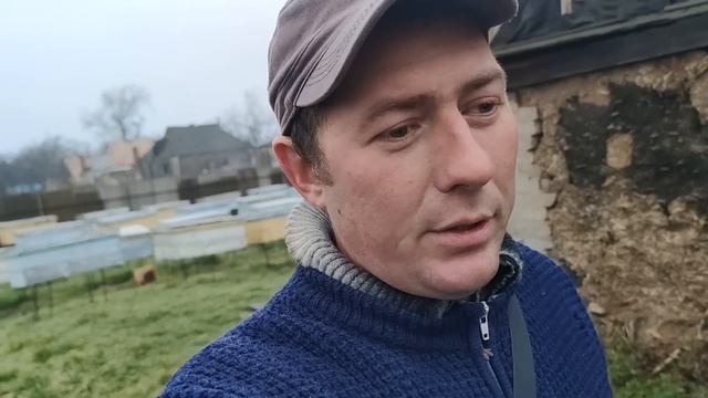 Что нужно знать чтобы УВЕЛИЧИТЬ ПАСЕКУ с 10 семей до 100 (1 часть) ✅☝️? смотреть онлайн