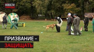 На базе института прошли национальные соревнования прикладных собак