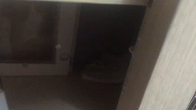 Клетка-вольер для енота смотреть онлайн