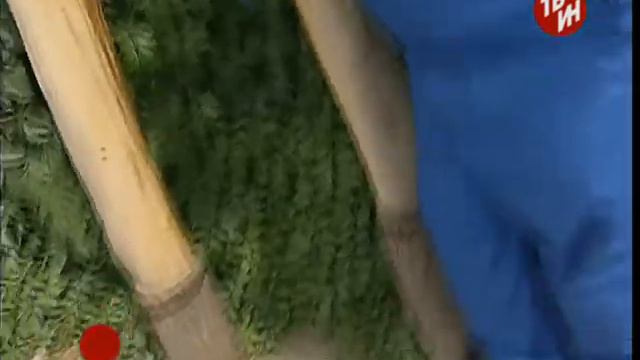 Красиво жить не запретишь! смотреть онлайн