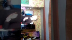 Алёша попович переделка