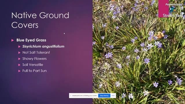 Conradina FNPS November General Meeting смотреть онлайн