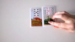 Карта 14 Лиса ? значение и сочетания с другими картами. Ленорман обучение