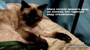 Мася хотела принять душ, но поняла, что горячую воду отключили ?