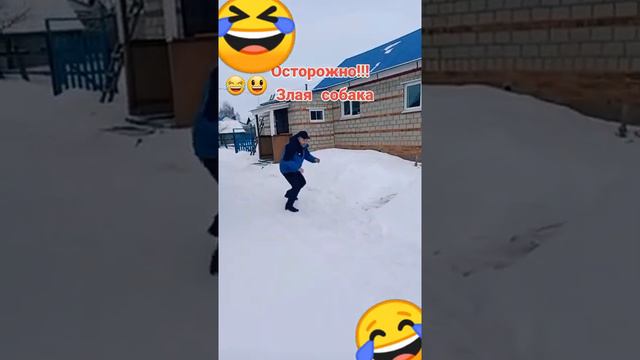 Злая собака🤣