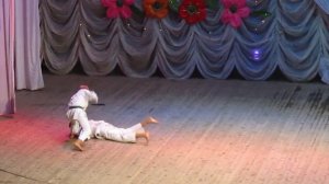 Показательные выступления, Каратэ-до