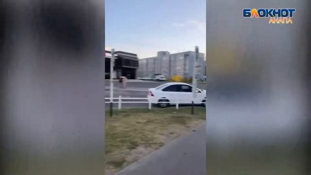 Анапчанка предлагает на аварийном перекрёстке установить светофор смотреть онлайн