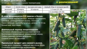 Огурец Лютояр F1. Разумный выбор, надежный гибрид!