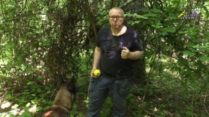 Как наладить контакт с собакой