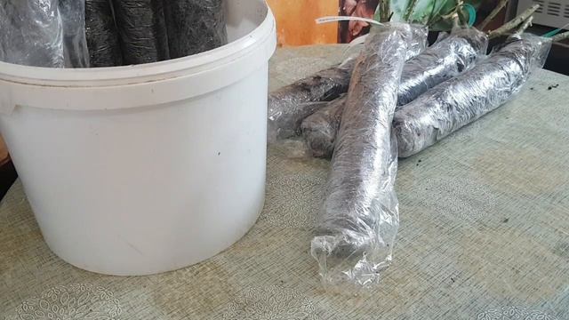 Процесс пошёл!!! Пришла первая посылка с розами от Фокино🌹📦🌹 смотреть онлайн