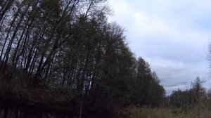 Ловля щуки на спининг! Река Поля.