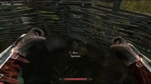 Skyrim вор #1