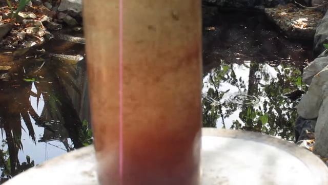 Выращивание дафнии и повторяемость результата смотреть онлайн