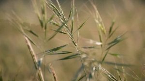 ПРОСТИ ОТЕЦ... - трогательная песня для папы