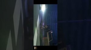 красный кот против чёрного кота против зелёного кота против вискаса