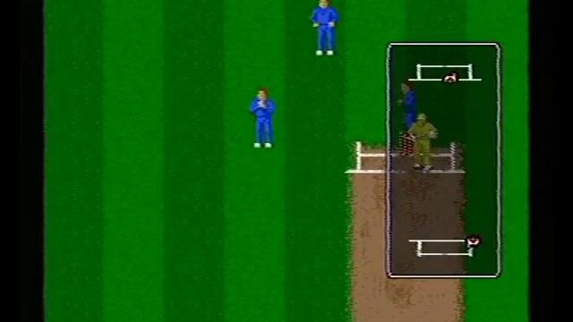 Brian Lara Cricket '96 - Batting