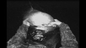 РЫБАЛКА НА СЕТЬ ! ШИКАРНЫЙ УЛОВ КРУПНОГО ЛЕЩА И ПЕЧАЛЬКА ! Деликатес готов ...