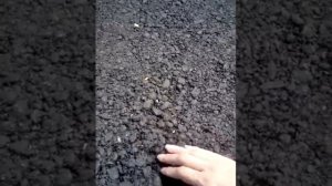 Асфальт, который крошится на глазах