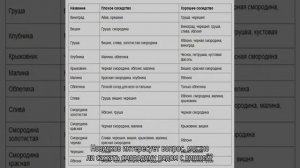 Совместимость плодовых деревьев и кустарников в саду
