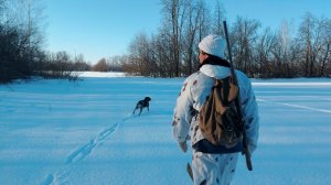 Охота на зайца зимой 2024