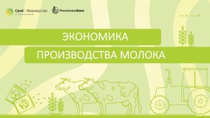 Экономика производства молока